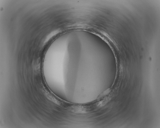 X0000081301450200701251706