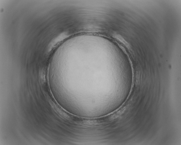 X0000081301451200701251706