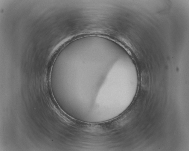 X0000081301452200701251706