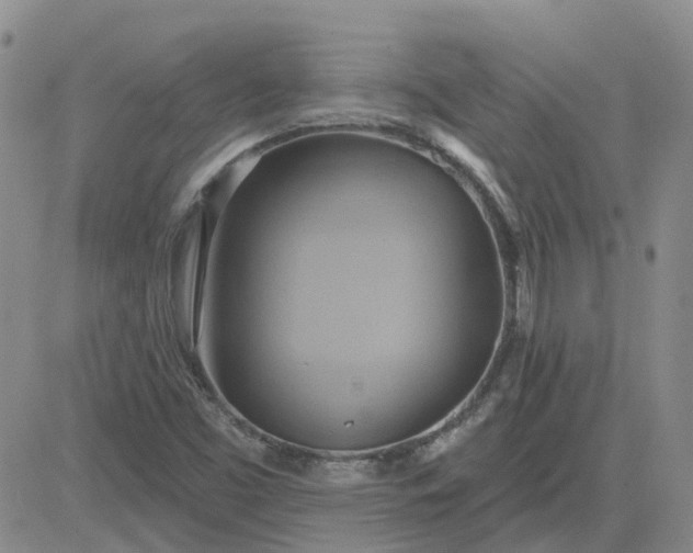 X0000081301453200701251706