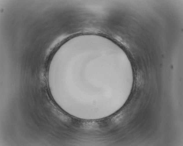 X0000081301454200701251706