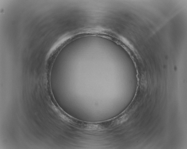 X0000081301456200701251706