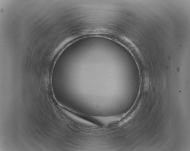 X0000081301457200701251706