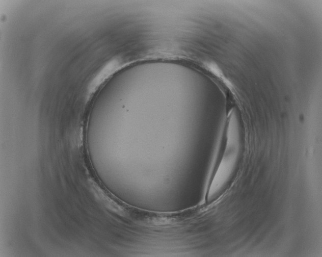 X0000081301459200701251706