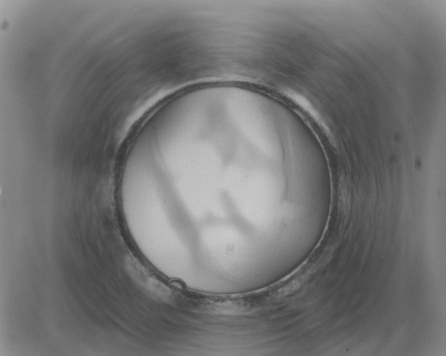 X0000081301460200701251706