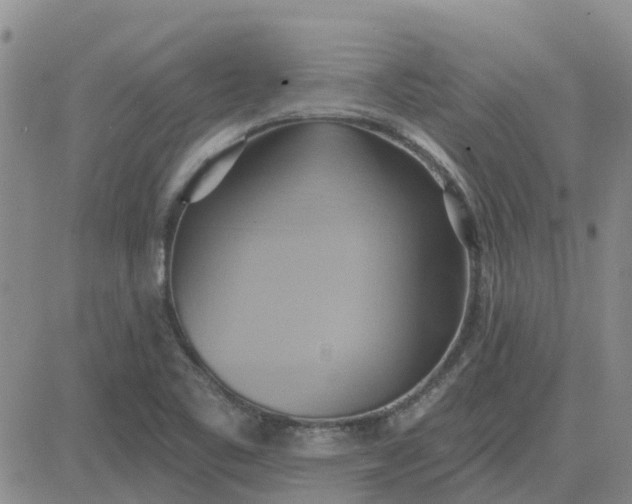 X0000081301461200701251706