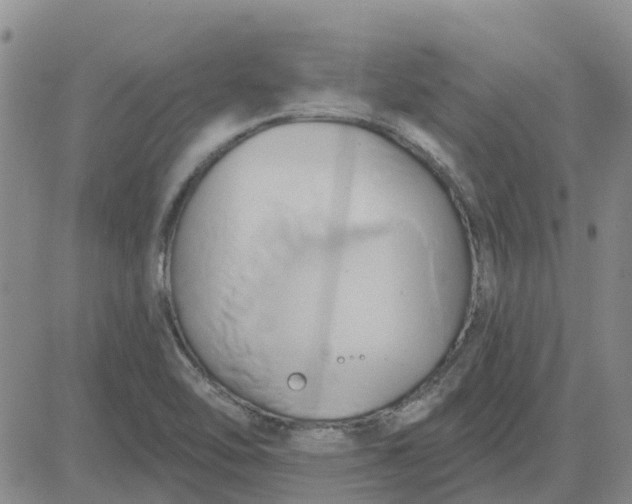 X0000081301462200701251706