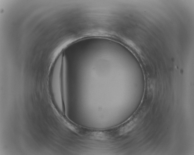 X0000081301463200701251706