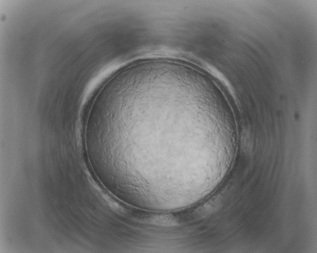 X0000081301464200701251706