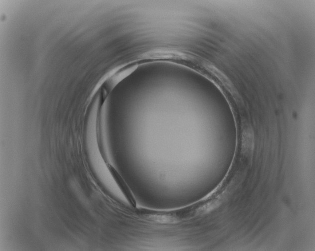 X0000081301465200701251706