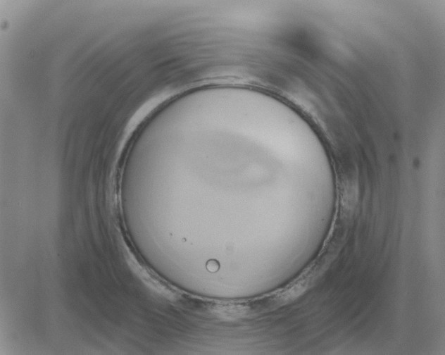 X0000081301466200701251706