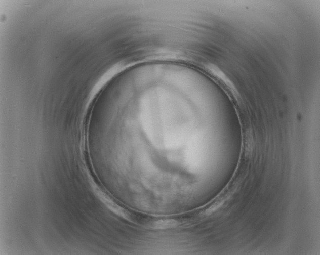 X0000081301467200701251706