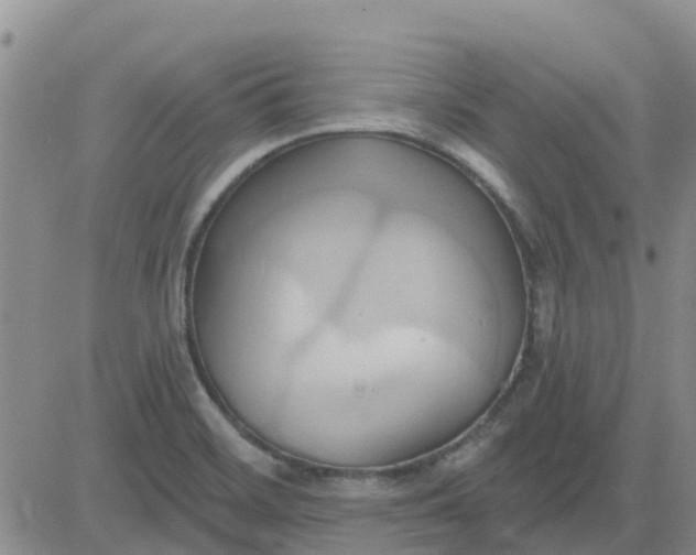 X0000081301468200701251706