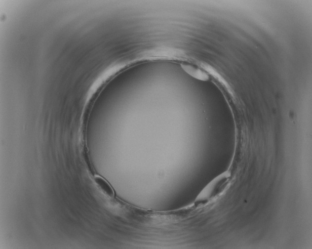 X0000081301469200701251705