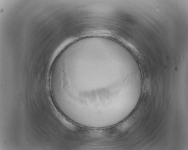 X0000081301470200701251705