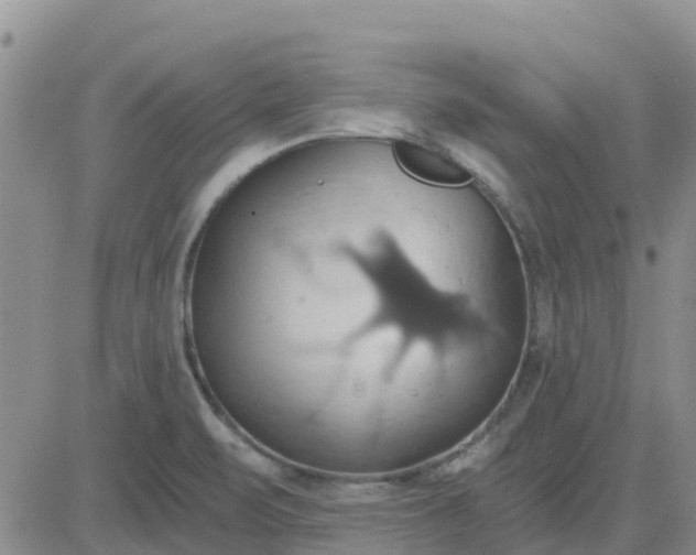 X0000081301471200701251705