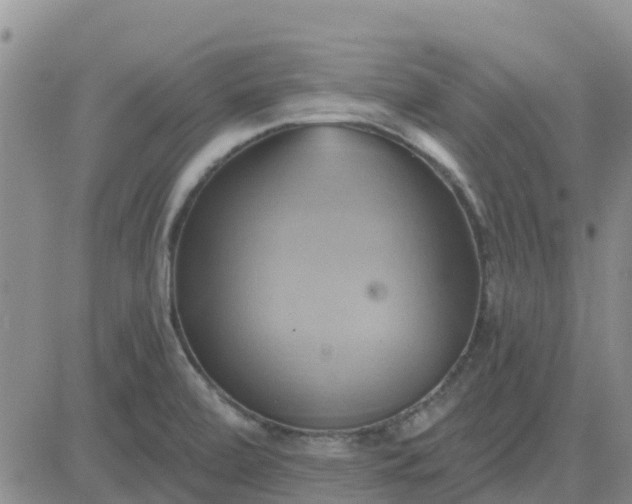 X0000081301472200701251705