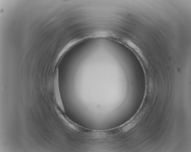 X0000081301473200701251705