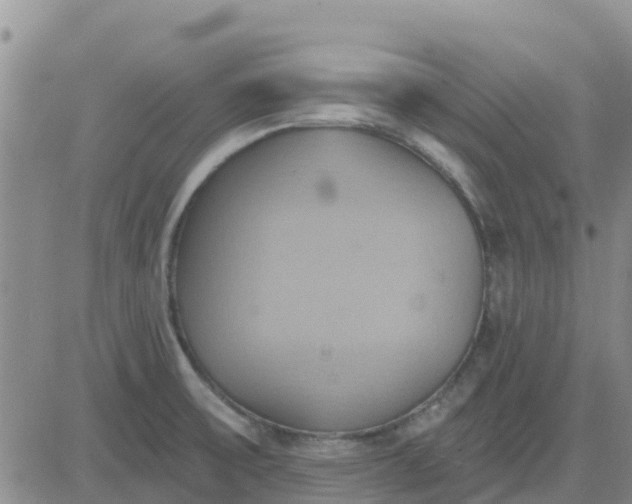 X0000081301475200701251705