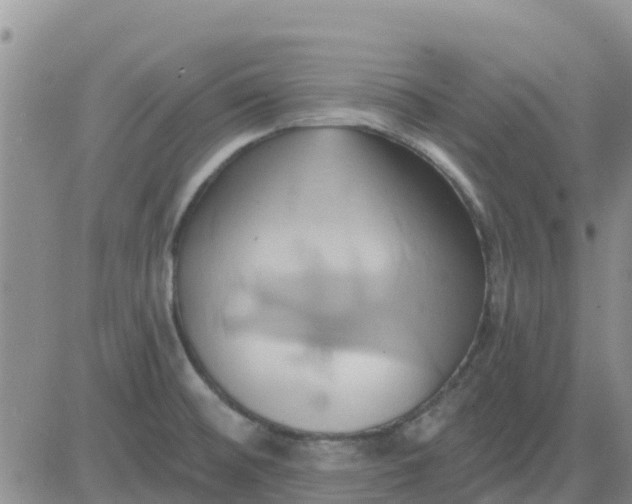 X0000081301476200701251705