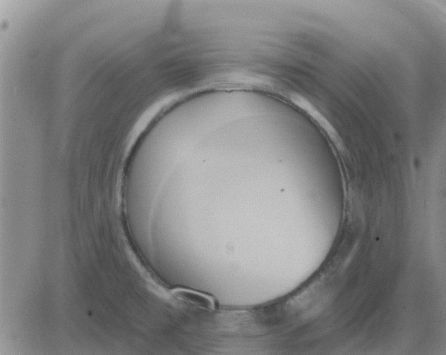 X0000081301477200701251705