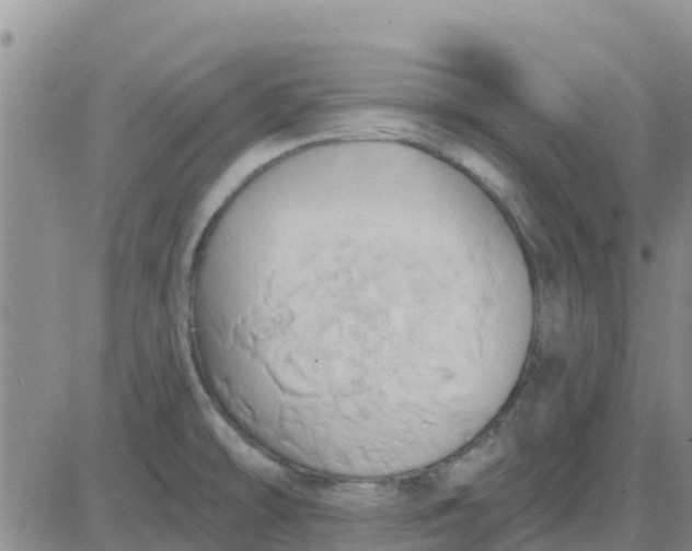 X0000081301478200701251705