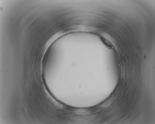 X0000081301479200701251705