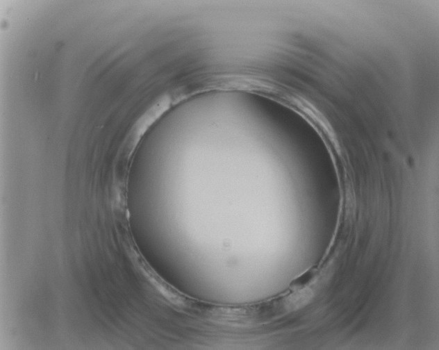 X0000081301481200701251705