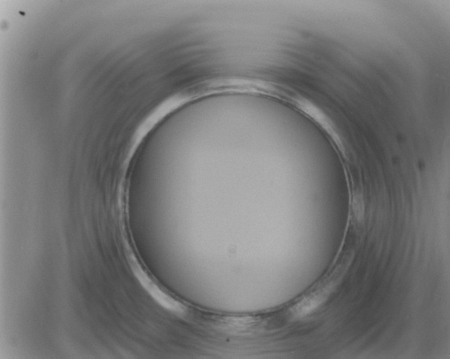 X0000081301482200701251705