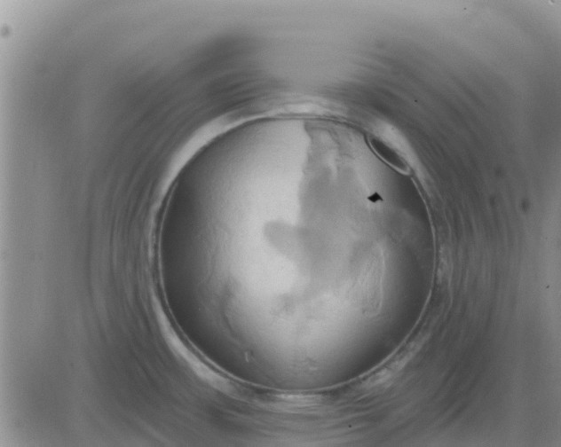 X0000081301483200701251705