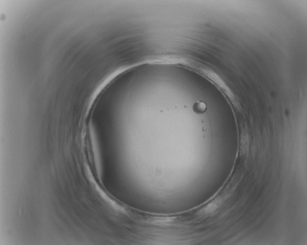 X0000081301484200701251705