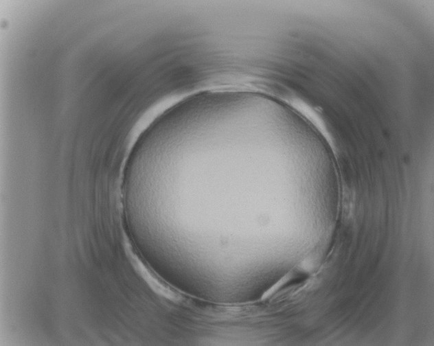 X0000081301485200701251705