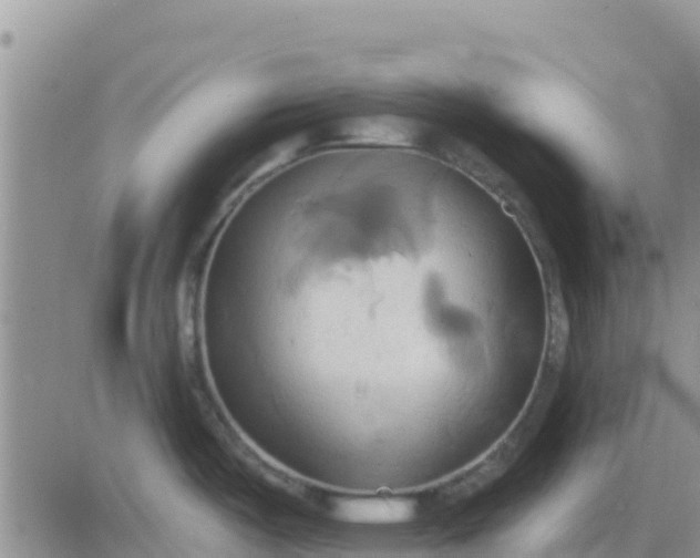 X0000081301487200701251705