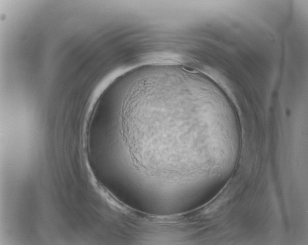 X0000081301488200701251705