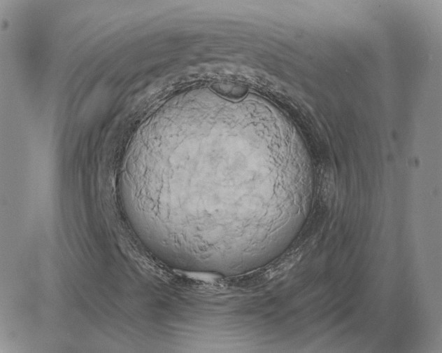 X0000081301489200701251704