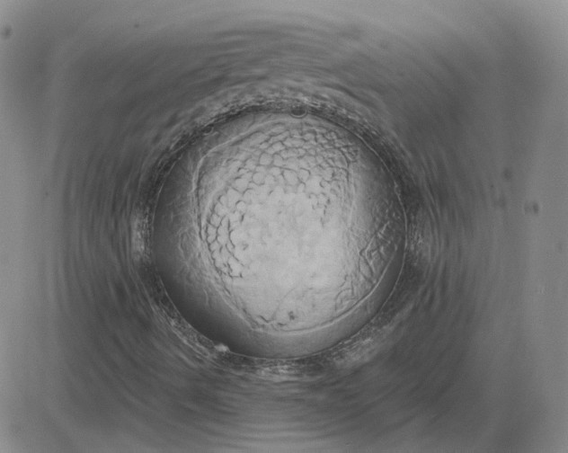 X0000081301490200701251704