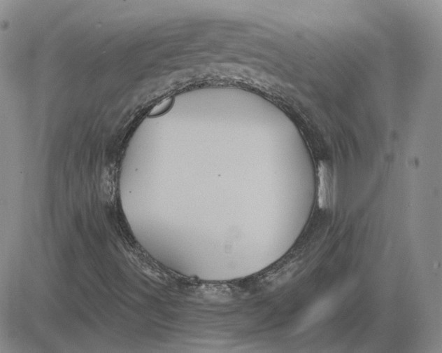 X0000081301491200701251704