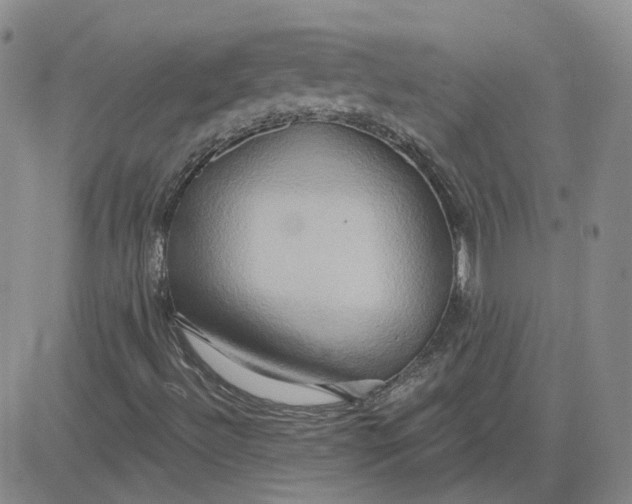 X0000081301492200701251704