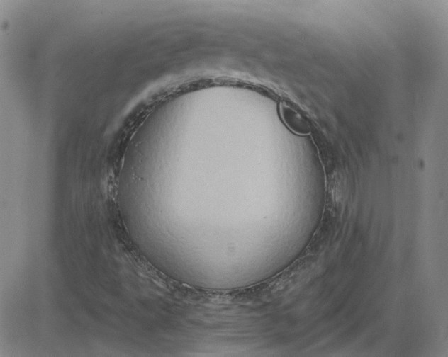 X0000081301495200701251705