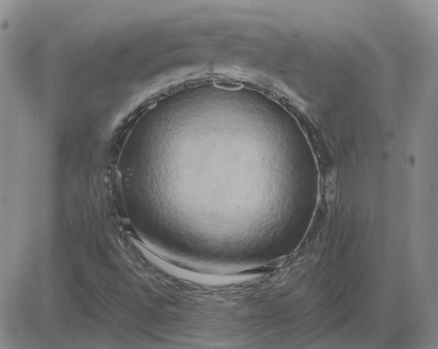 X0000081301496200701251705