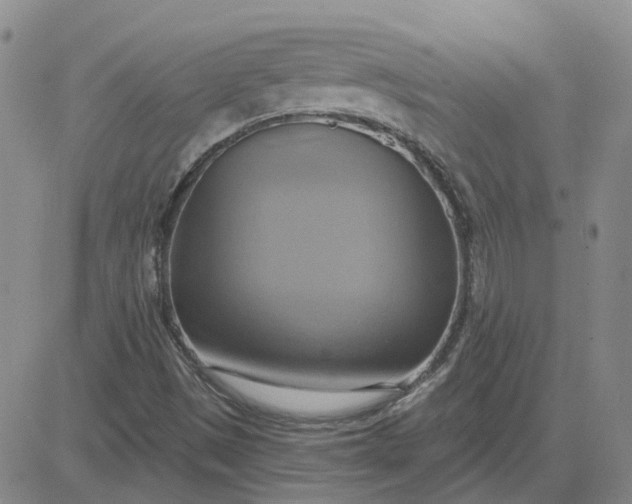 X0000081301497200701251705