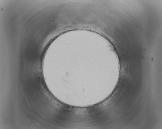 X0000081301498200701251705