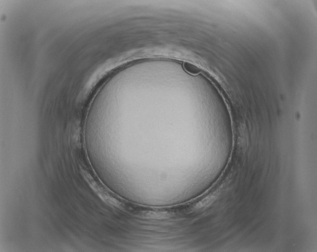 X0000081301499200701251705