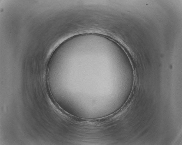 X0000081301500200701251705