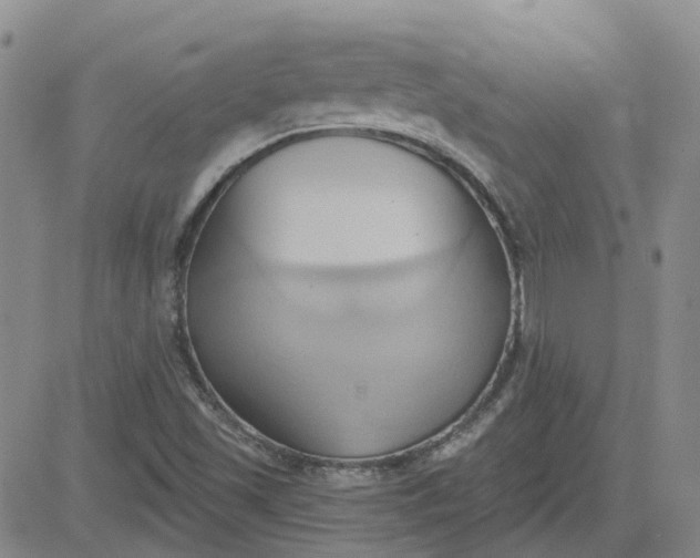 X0000081301501200701251705