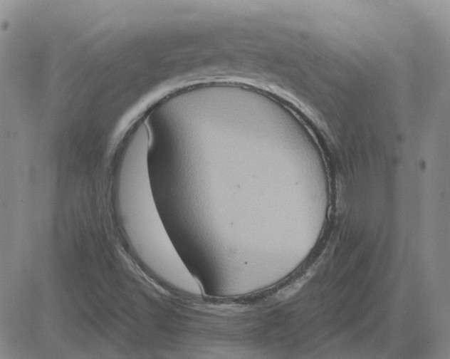 X0000081301502200701251705