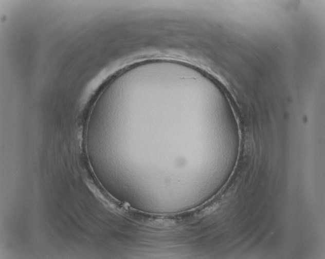 X0000081301503200701251705