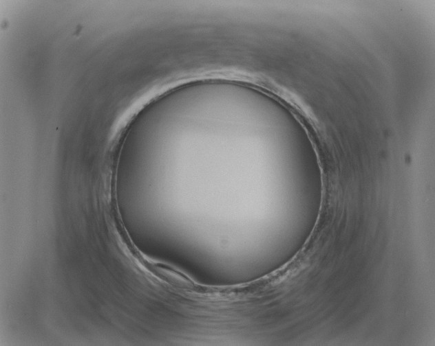 X0000081301504200701251705