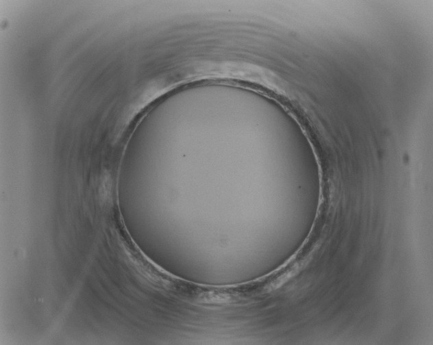 X0000081301505200701251705