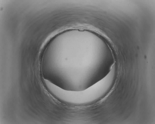 X0000081301506200701251705